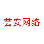芸安网络科技有限公司